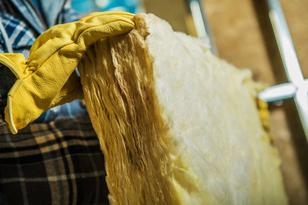 Best Insulation Maintenance and Repair in Belle Chasse, LA